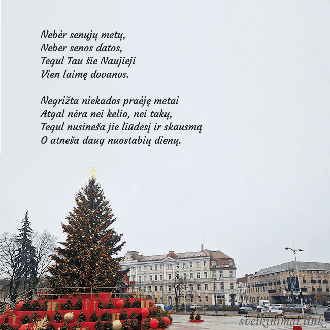 Vilniaus kalėdinė eglutė 2025