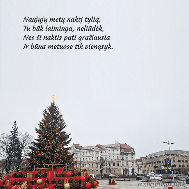 Vilniaus kalėdinė eglutė 2025