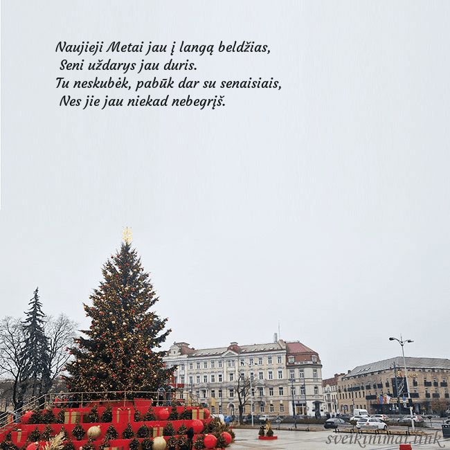 Vilniaus kalėdinė eglutė 2025
