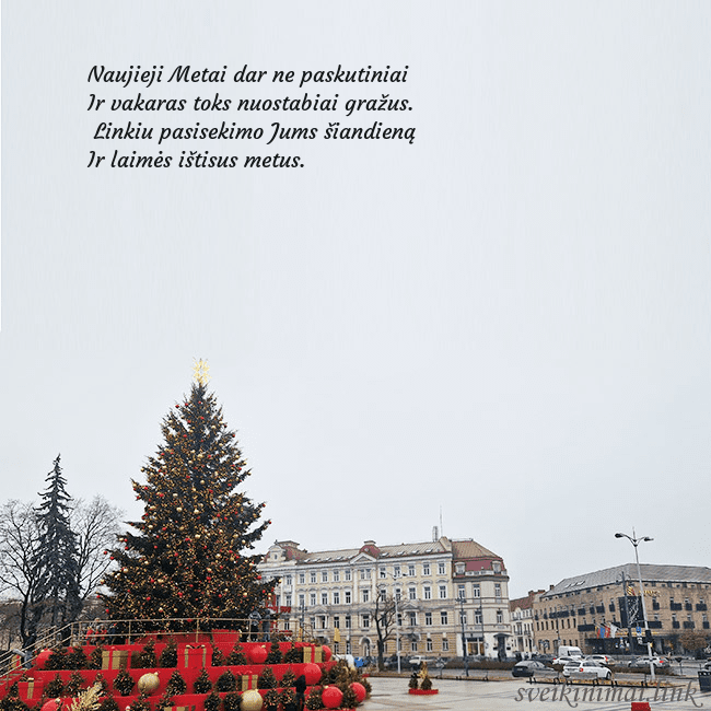 Vilniaus kalėdinė eglutė 2025