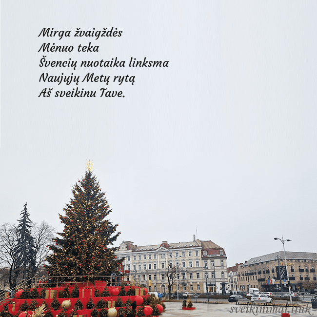 Vilniaus kalėdinė eglutė 2025