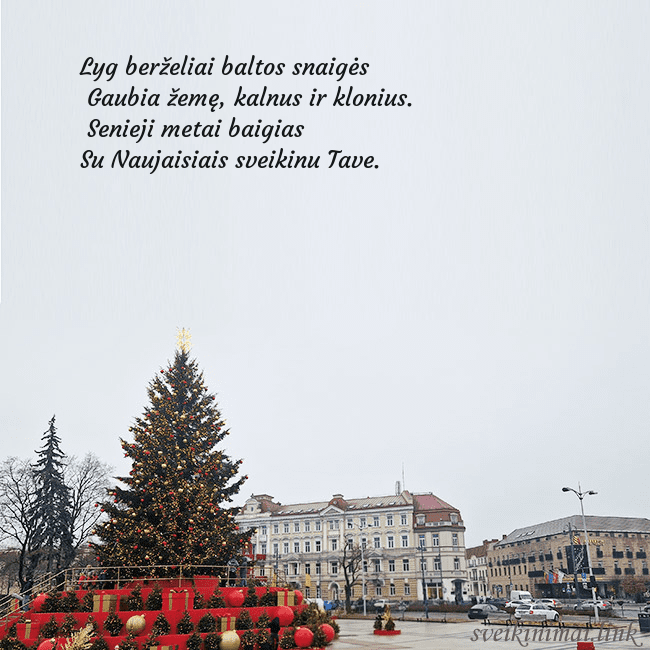 Vilniaus kalėdinė eglutė 2025