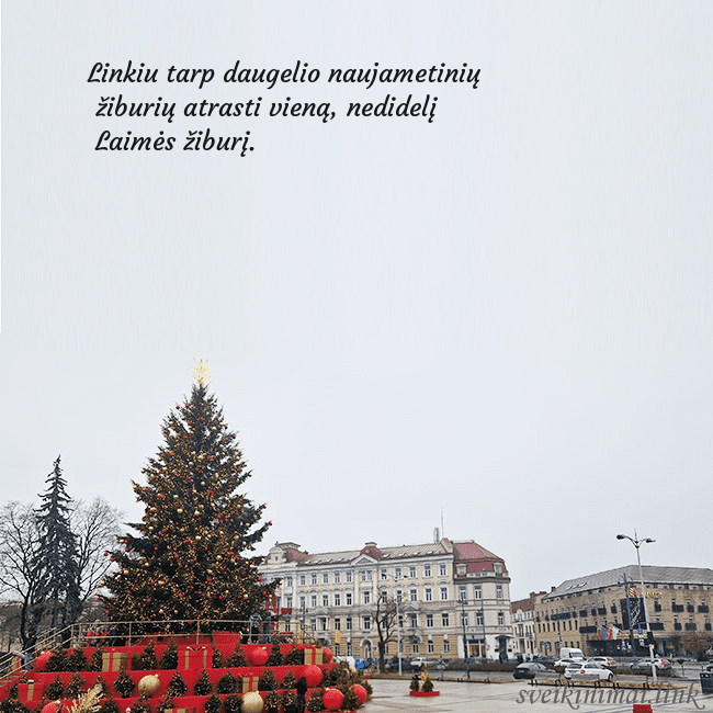 Vilniaus kalėdinė eglutė 2025