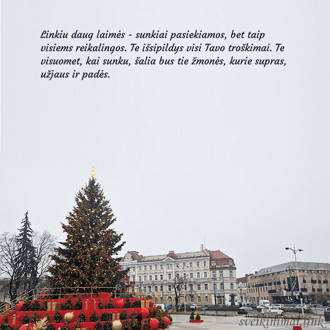 Vilniaus kalėdinė eglutė 2025