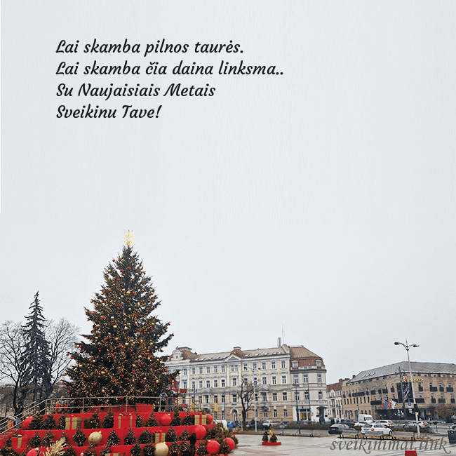 Vilniaus kalėdinė eglutė 2025