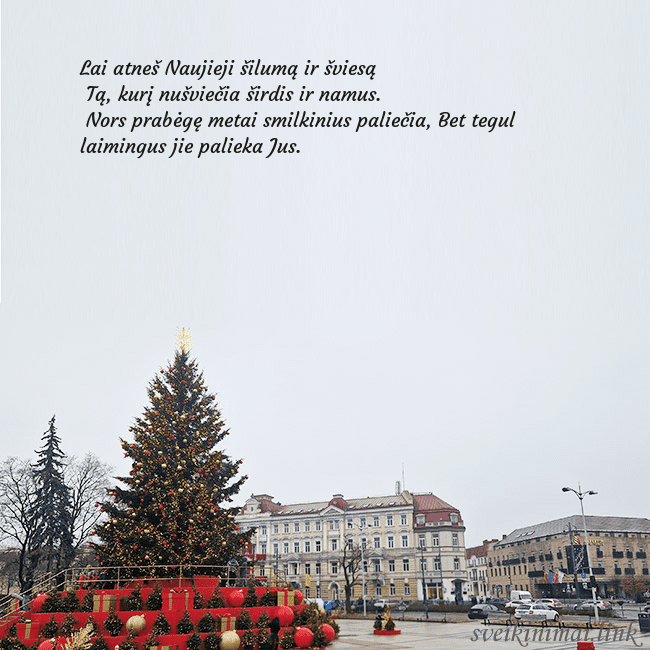 Vilniaus kalėdinė eglutė 2025