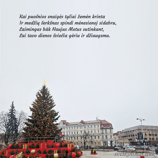 Vilniaus kalėdinė eglutė 2025