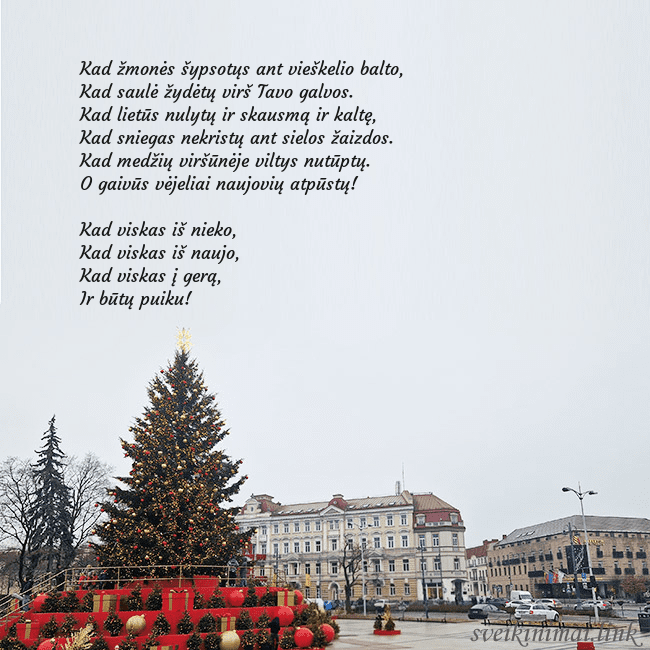 Vilniaus kalėdinė eglutė 2025