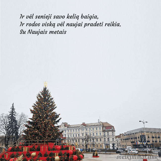 Vilniaus kalėdinė eglutė 2025