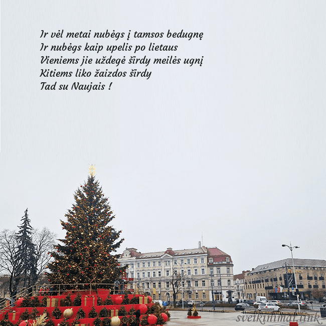 Vilniaus kalėdinė eglutė 2025