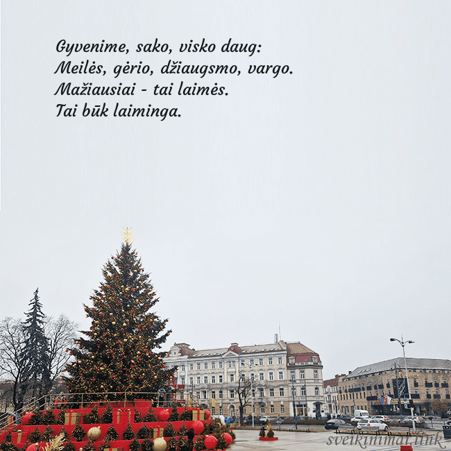 Vilniaus kalėdinė eglutė 2025