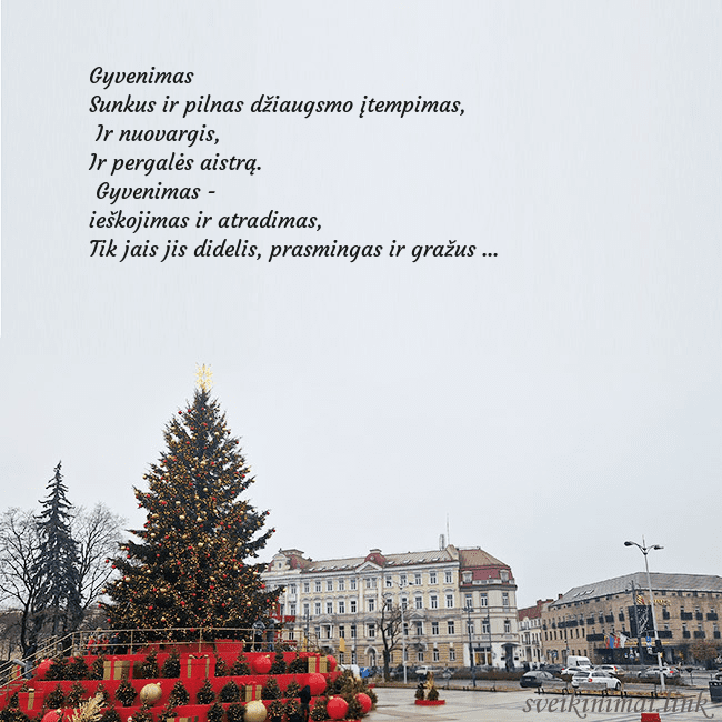 Vilniaus kalėdinė eglutė 2025