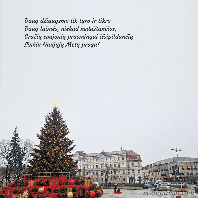 Vilniaus kalėdinė eglutė 2025