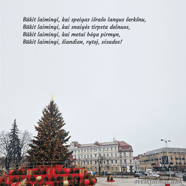 Vilniaus kalėdinė eglutė 2025