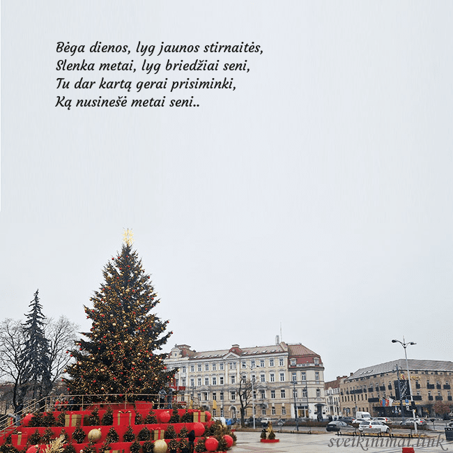 Vilniaus kalėdinė eglutė 2025