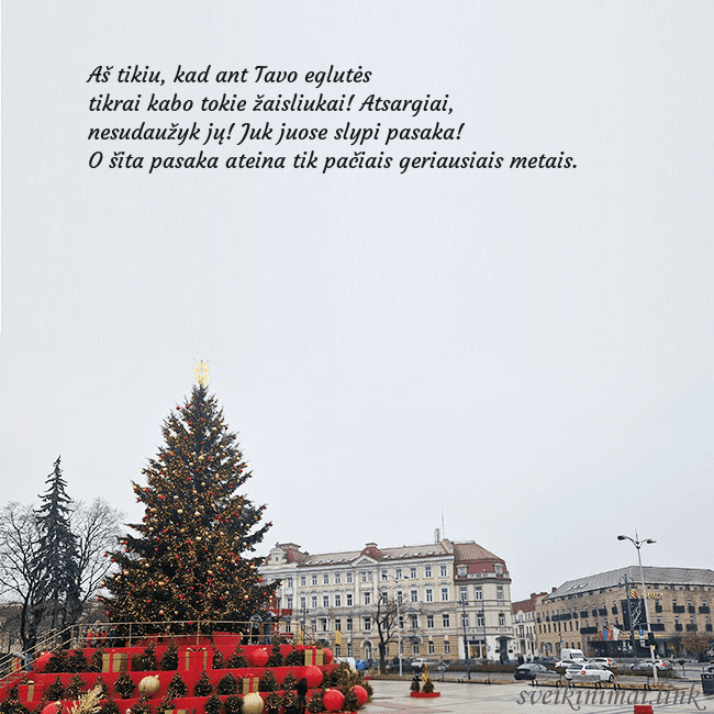 Vilniaus kalėdinė eglutė 2025