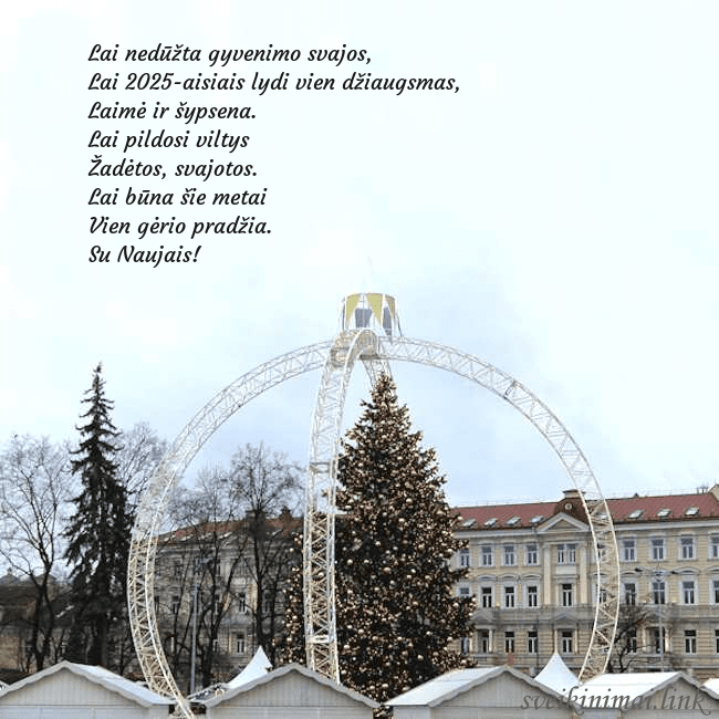 Kalėdos Vilniuje 2024 Lai nedūžta gyvenimo svajos,
Lai 2026-aisiais lyd Kalėdos Vilniuje 2024