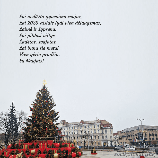 Vilniaus kalėdinė eglutė 2025