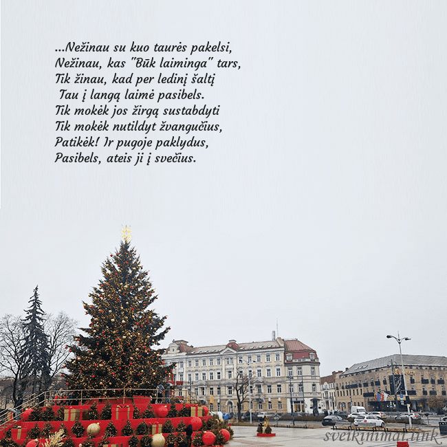 Vilniaus kalėdinė eglutė 2025