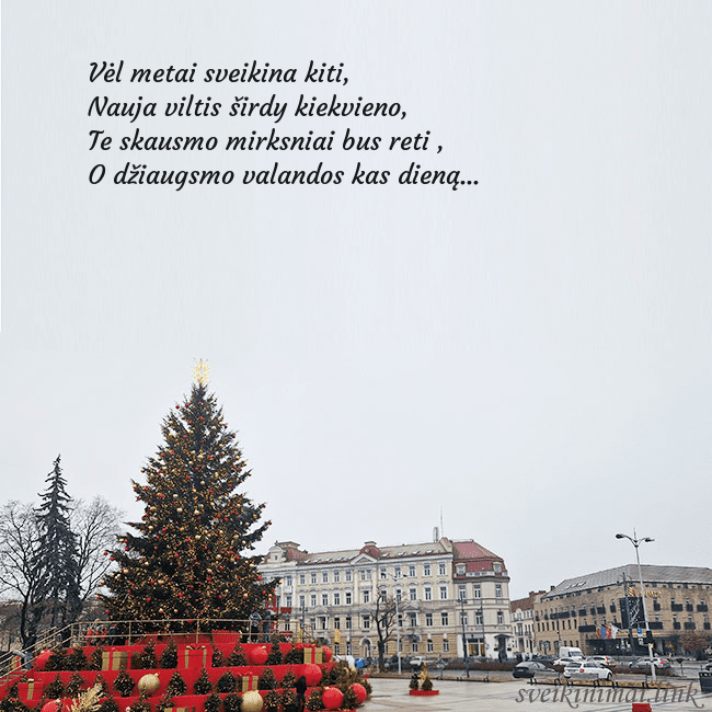 Vilniaus kalėdinė eglutė 2025