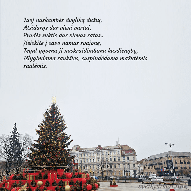 Vilniaus kalėdinė eglutė 2025