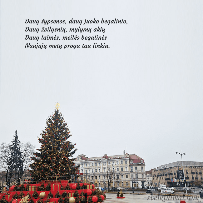 Vilniaus kalėdinė eglutė 2025