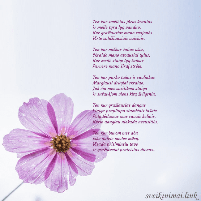 Elektroninė atvirutė su violetine gėle Ten kur smėlėtas jūros krantas
Ir meilė tyra lyg Elektroninė atvirutė su violetine gėle