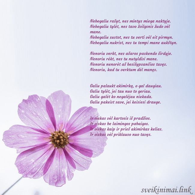 Elektroninė atvirutė su violetine gėle