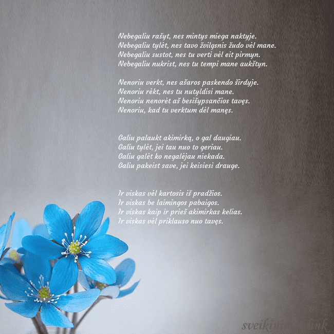 Atvirukas su žibuoklėmis