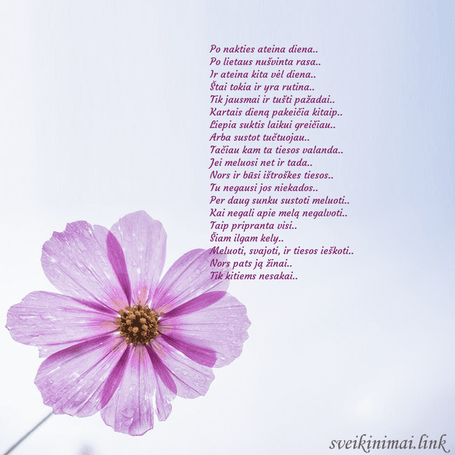 Elektroninė atvirutė su violetine gėle