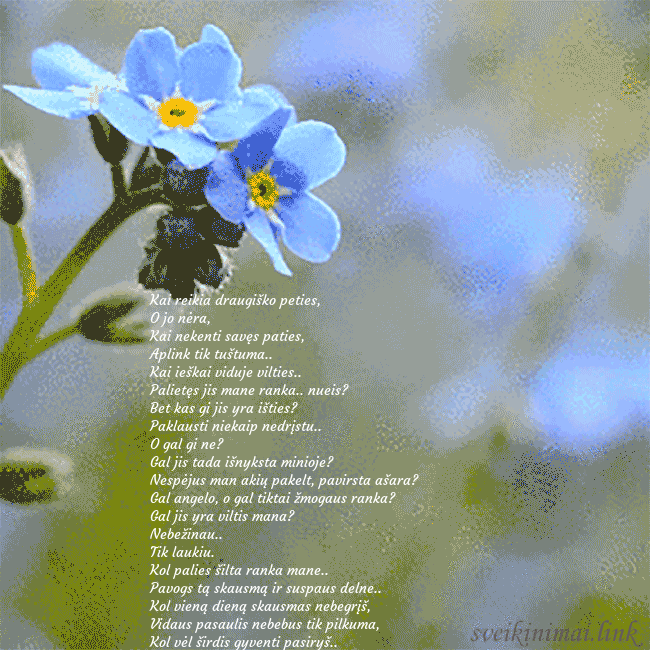 Elektroninis animuotas atvirukas su neužmirštuolėmis Kai reikia draugiško peties,
O jo nėra,
Kai nekent Elektroninis animuotas atvirukas su neužmirštuolėmis