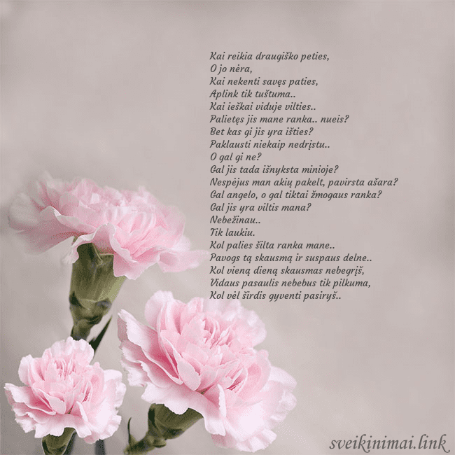 Atvirukas su rožiniais gvazdikais Kai reikia draugiško peties,
O jo nėra,
Kai nekent Atvirukas su rožiniais gvazdikais