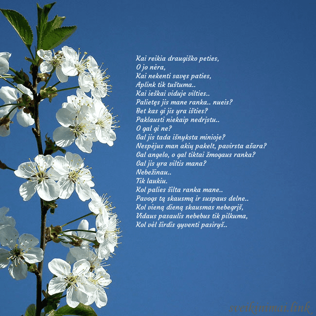 Atvirukas su pavasario žiedais Kai reikia draugiško peties,
O jo nėra,
Kai nekent Atvirukas su pavasario žiedais