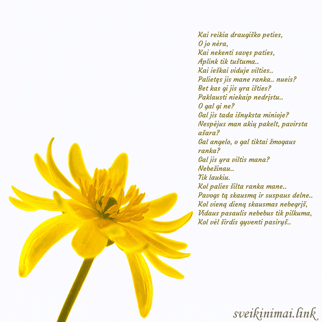 Atvirukas su geltona gėle