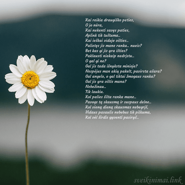 Elektroninis atvirukas su ramune Kai reikia draugiško peties,
O jo nėra,
Kai nekent Elektroninis atvirukas su ramune