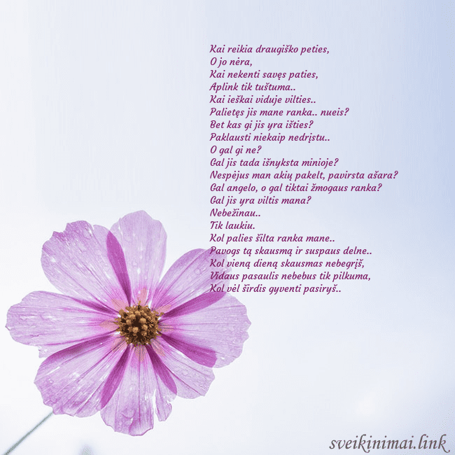 Elektroninė atvirutė su violetine gėle