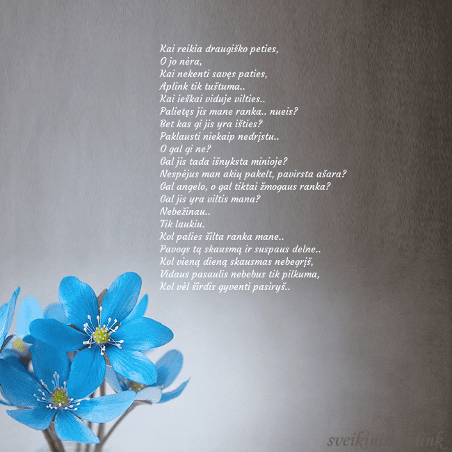 Atvirukas su žibuoklėmis Kai reikia draugiško peties,
O jo nėra,
Kai nekent Atvirukas su žibuoklėmis