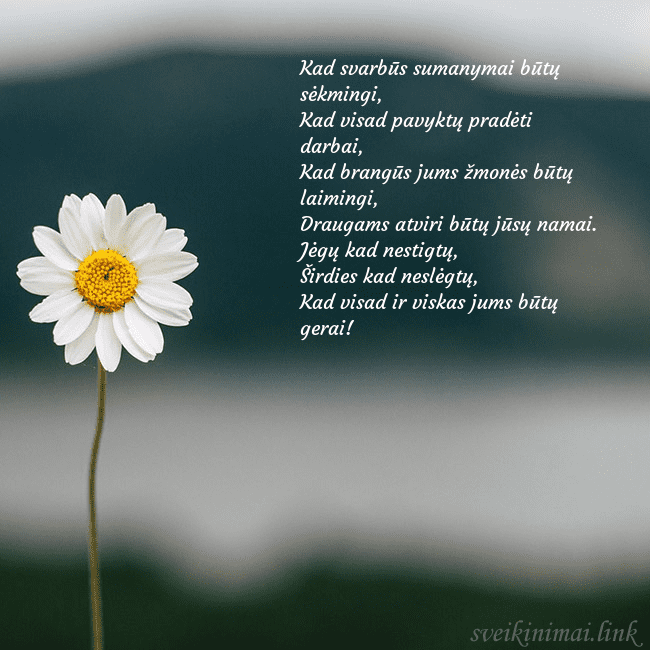 Elektroninis atvirukas su ramune