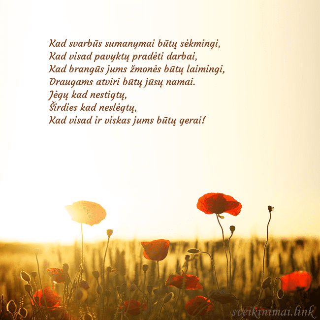 Elektroninė atvirutė su saulėje skendinčiu aguonų lauku