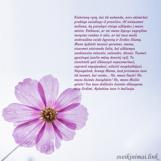 Elektroninė atvirutė su violetine gėle