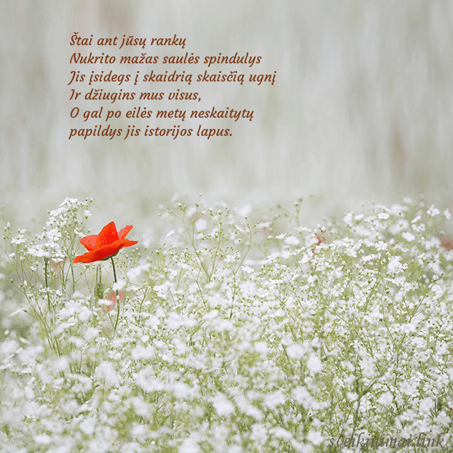 Elektroninis gimtadienio atvirukas su baltomis gėlėmis Štai ant jūsų rankų 
Nukrito mažas saulės spindul Elektroninis gimtadienio atvirukas su baltomis gėlėmis