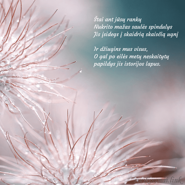 Atvirukas su pūkuotais augaliukais Štai ant jūsų rankų 
Nukrito mažas saulės spindul Atvirukas su pūkuotais augaliukais