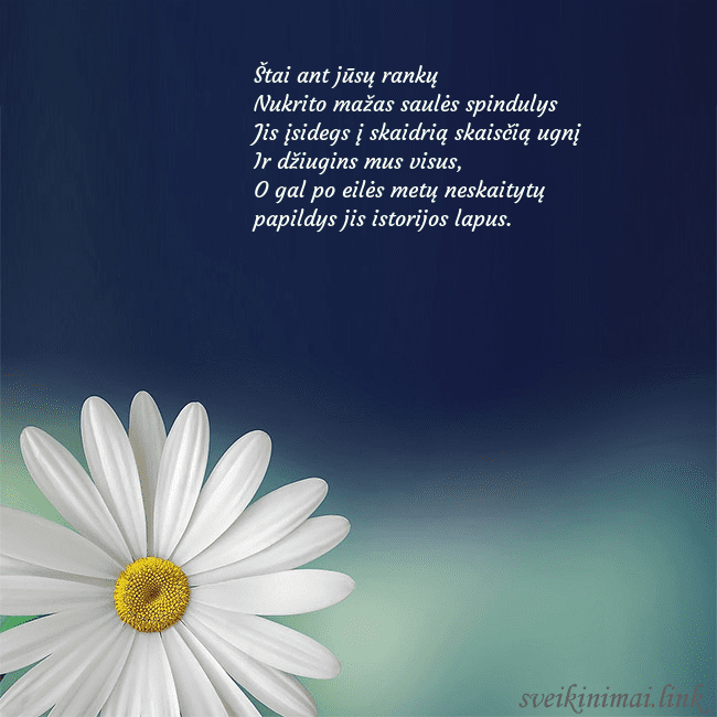 Gimtadienio atvirukas su didele ramune Štai ant jūsų rankų 
Nukrito mažas saulės spindul Gimtadienio atvirukas su didele ramune