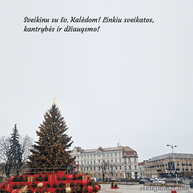 Vilniaus kalėdinė eglutė 2025