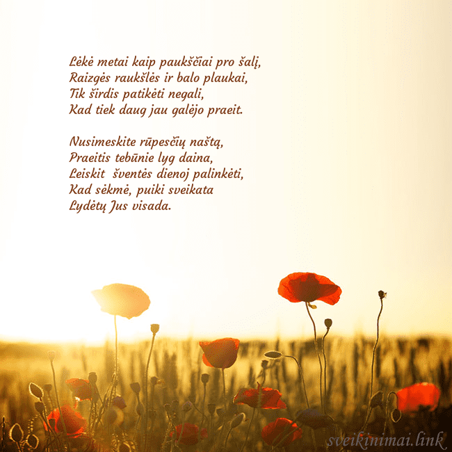 Elektroninė atvirutė su saulėje skendinčiu aguonų lauku