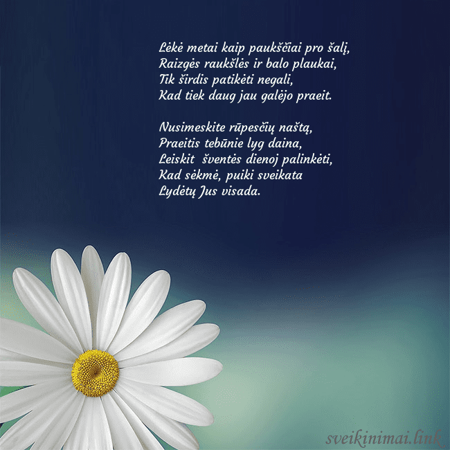 Gimtadienio atvirukas su didele ramune