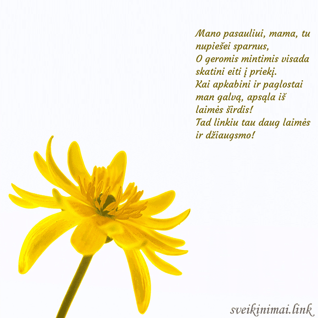 Atvirukas su geltona gėle Mano pasauliui, mama, tu nupiešei sparnus,
O gero Atvirukas su geltona gėle