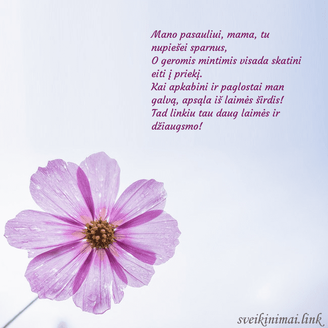 Elektroninė atvirutė su violetine gėle Mano pasauliui, mama, tu nupiešei sparnus,
O gero Elektroninė atvirutė su violetine gėle