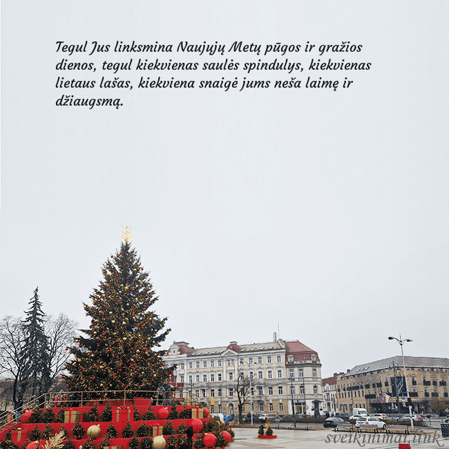 Vilniaus kalėdinė eglutė 2025