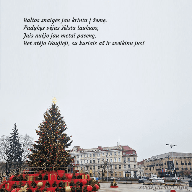 Vilniaus kalėdinė eglutė 2025